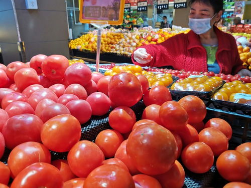 批发市场每月至少快检900次 深圳加强全链条食用农产品质量安全监管