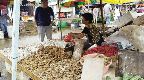 自治区商务厅发布7月份广西食用农产品市场价格分析