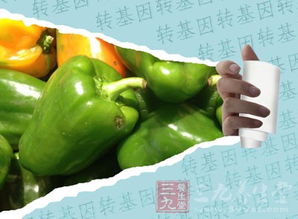 肇庆市出台具体办法 加强农产品质量安全管理